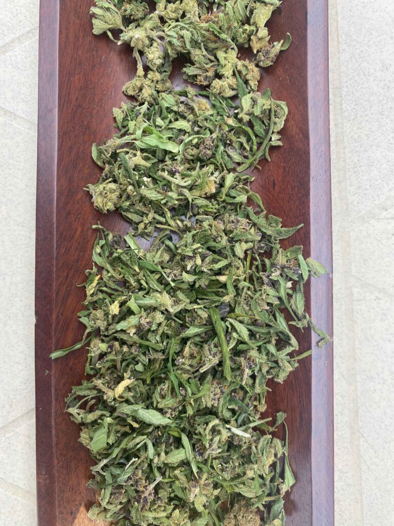 Mélange petites feuilles et fleurs
